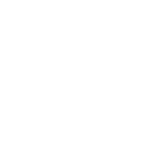 システム開発事業